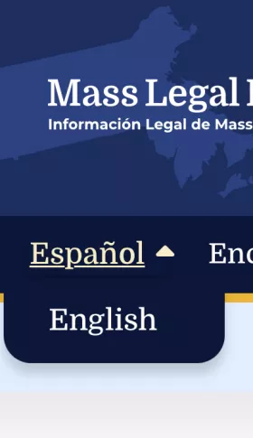 The language switcher in Spanish.