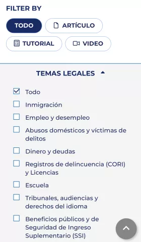 Filter by both information type and legal topic in Spanish.